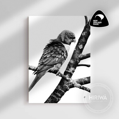 Rainbow Lorikeet (Canvas)
