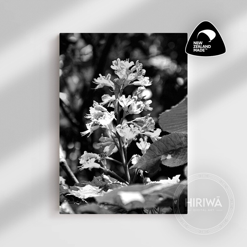 Red Horse-Chestnut Tree (Canvas)