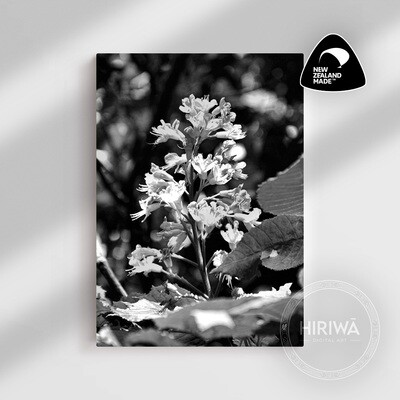 Red Horse-Chestnut Tree (Canvas)