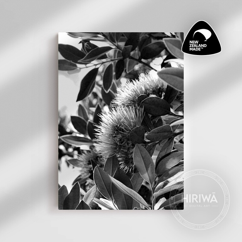 Pōhutukawa (Canvas)