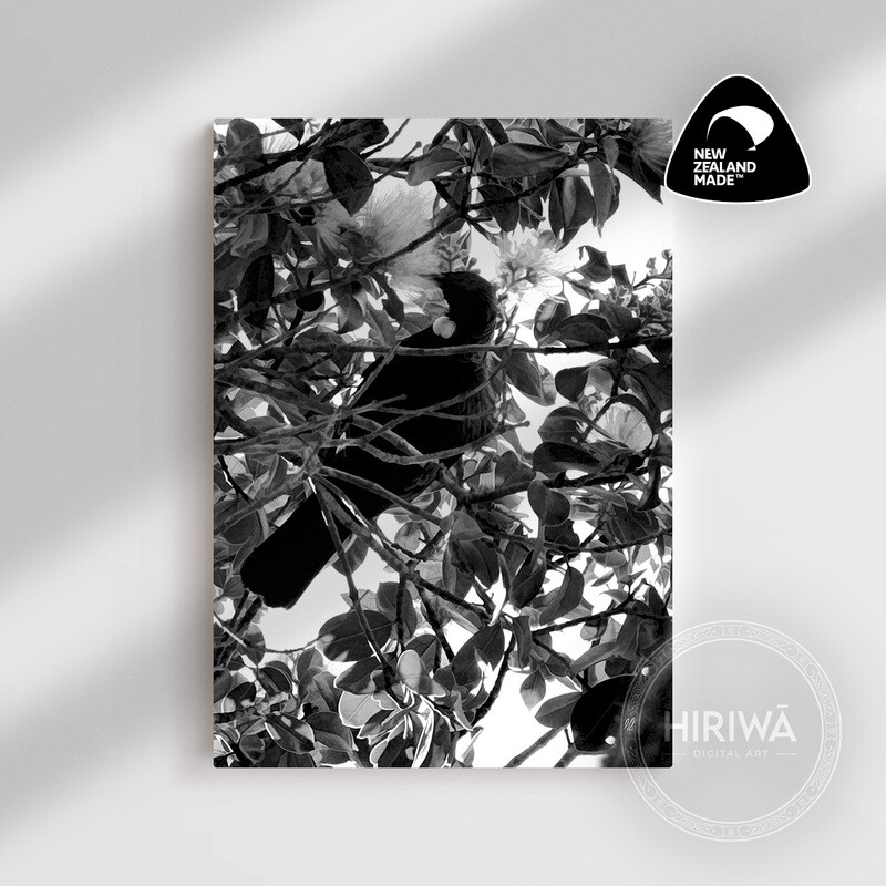 Tūī (Canvas)