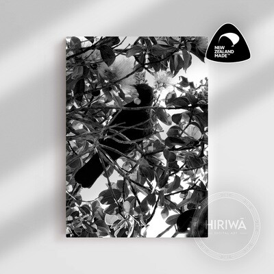 Tūī (Canvas)