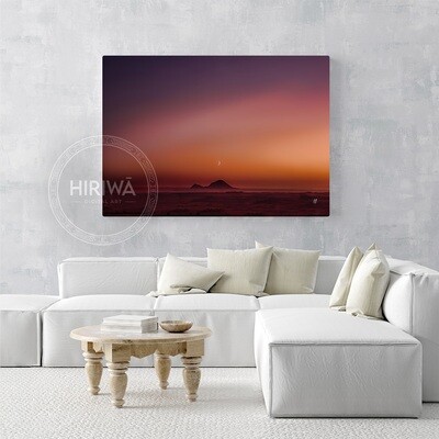 Moutohorā Island Sunrise (Canvas)