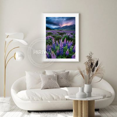 Twilight Lupins (Print)