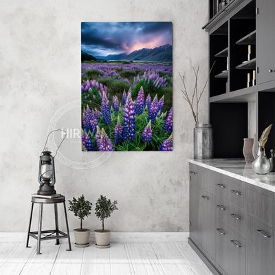Twilight Lupins (Canvas)