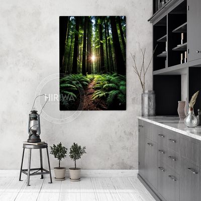 Under the Redwood Giants (Canvas)