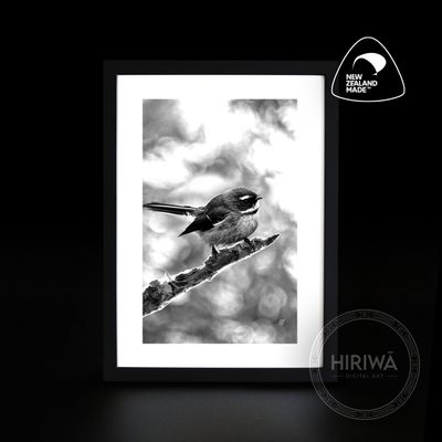 "Black & White" Collection