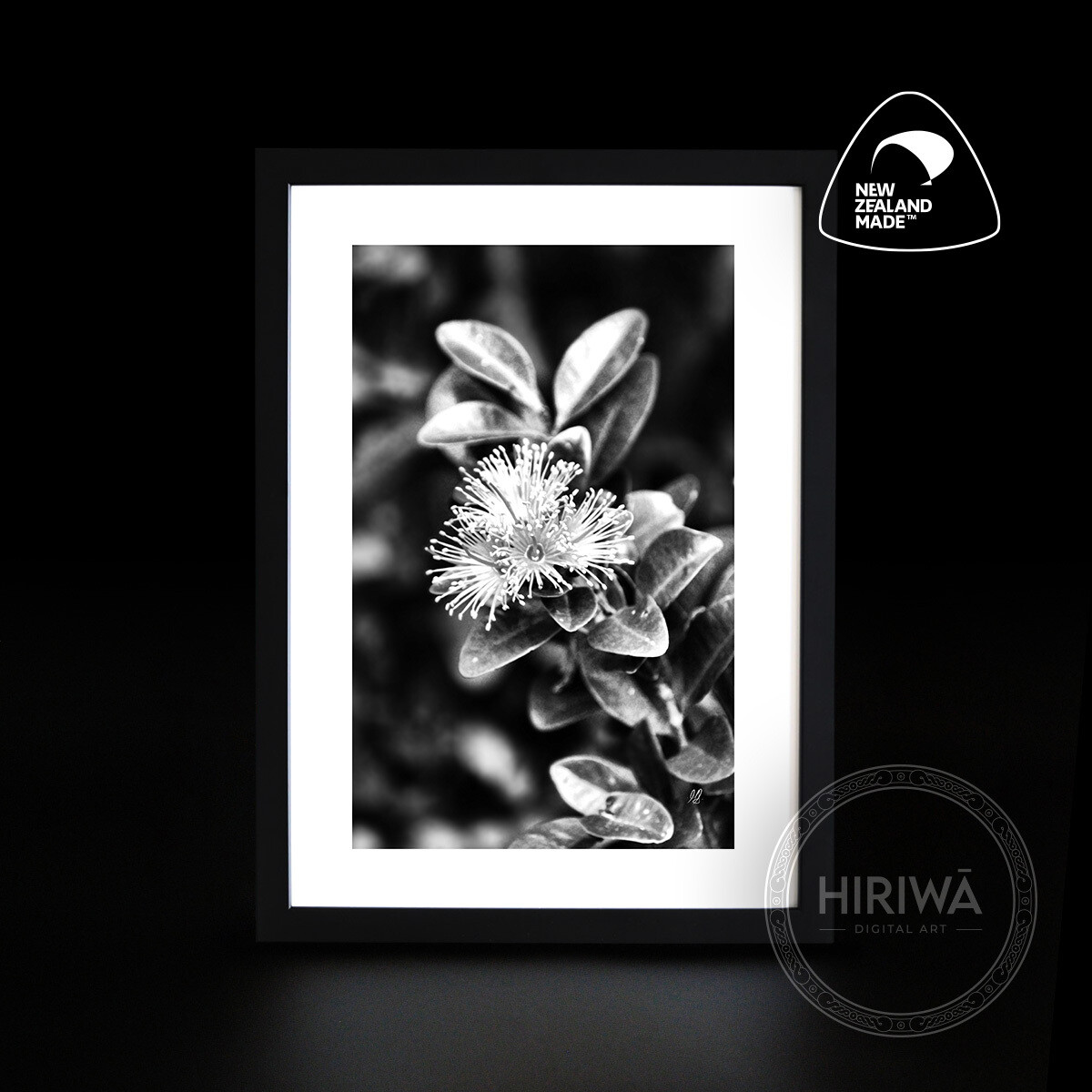 Akatawhiwhi | Rātā Vine (Print)
