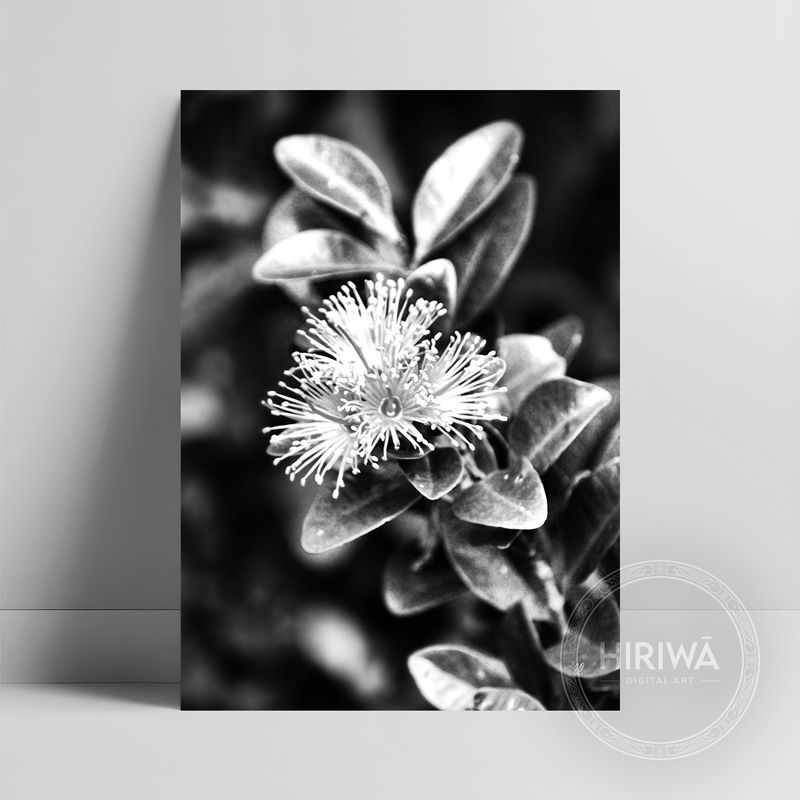 Akatawhiwhi | Rātā Vine (Print)