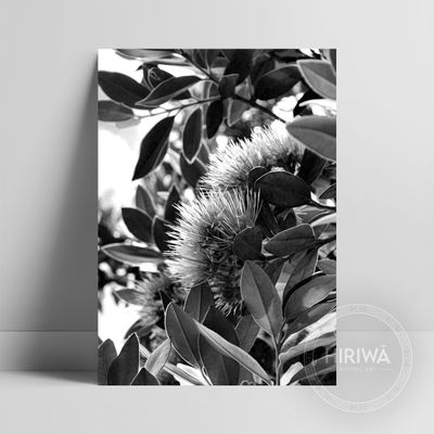 Pōhutukawa (Print)