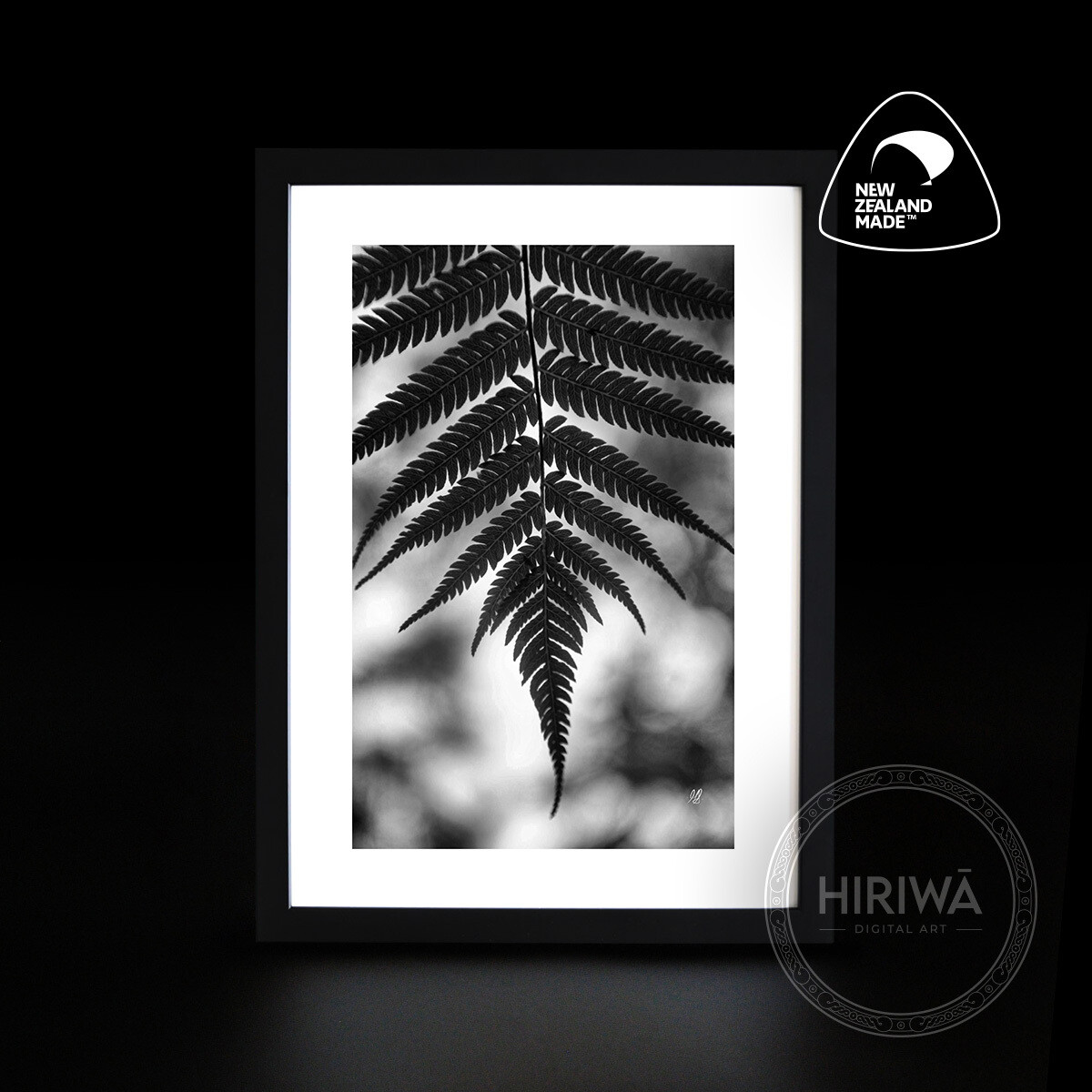 Ponga | Silver Fern (Print)
