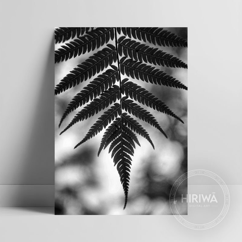 Ponga | Silver Fern (Print)