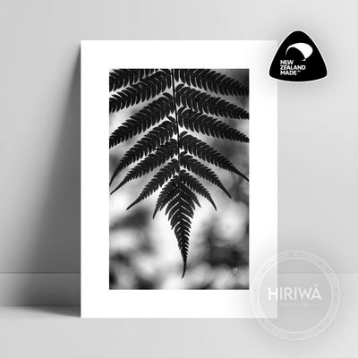 Ponga | Silver Fern (Print)