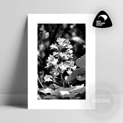 Red Horse-Chestnut Tree (Print)