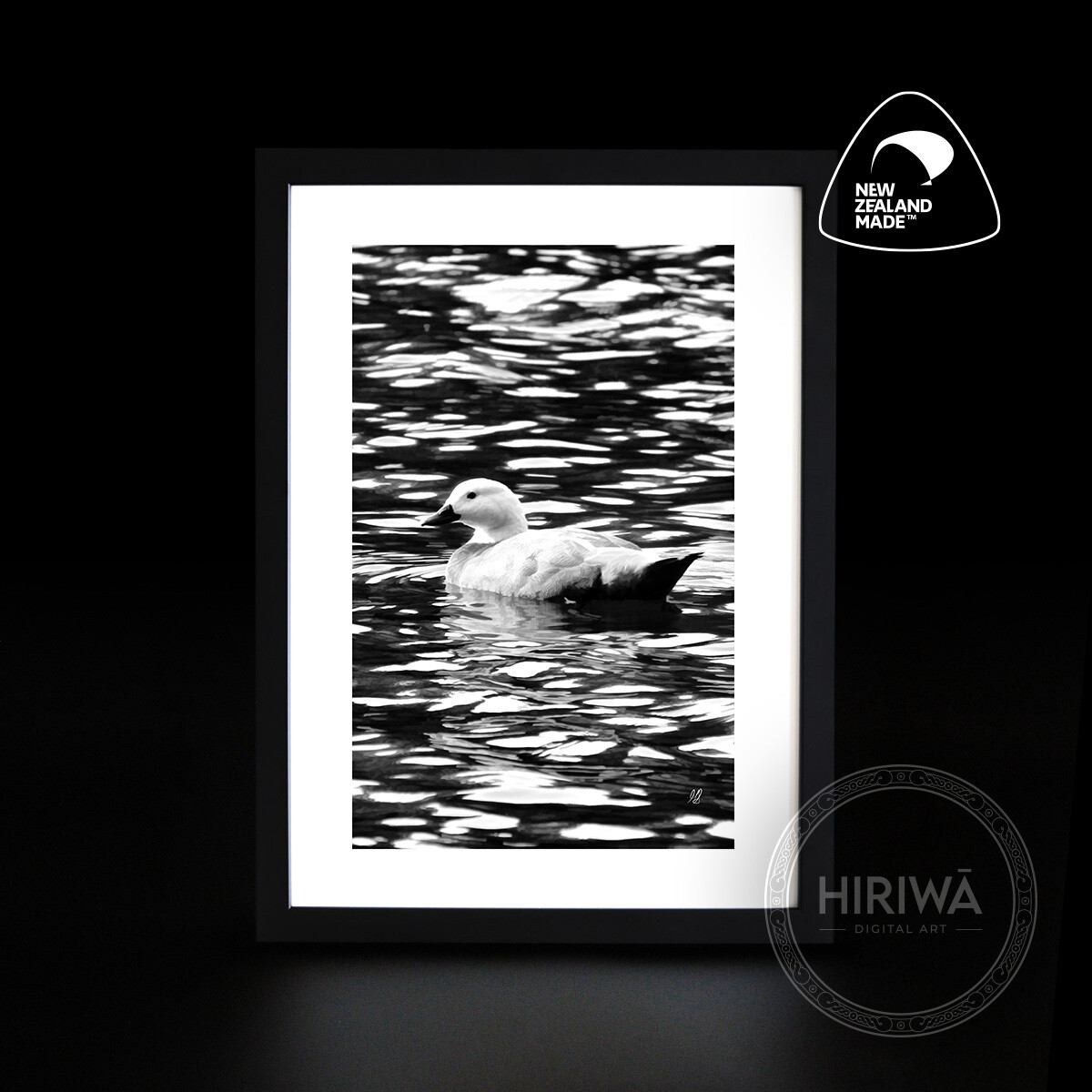 Pūtangitangi | Paradise Duck (Print)