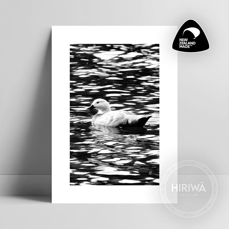 Pūtangitangi | Paradise Duck (Print)
