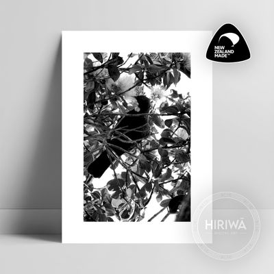 Tūī (Print)
