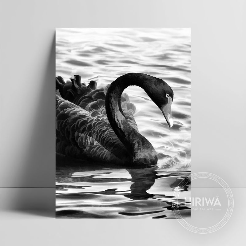 Kakīānau | Black Swan (Print)