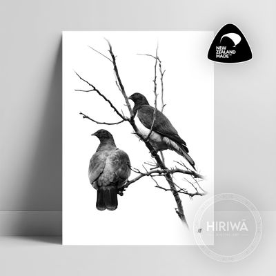 Kererū | Wood Pigeon (Print)