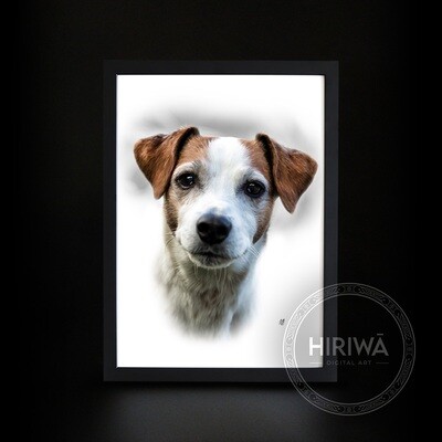 Enquiry - Pet Portrait