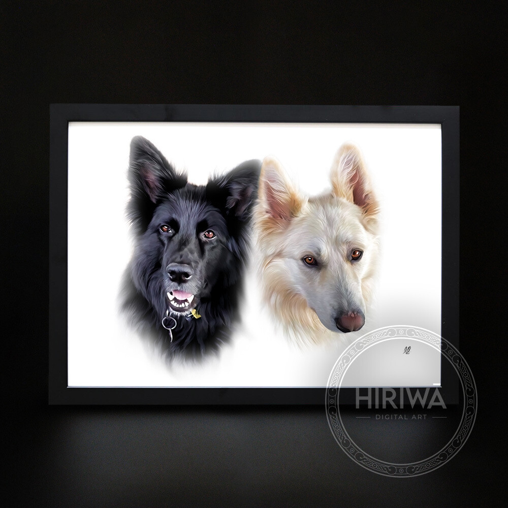 Enquiry - Pet Portrait