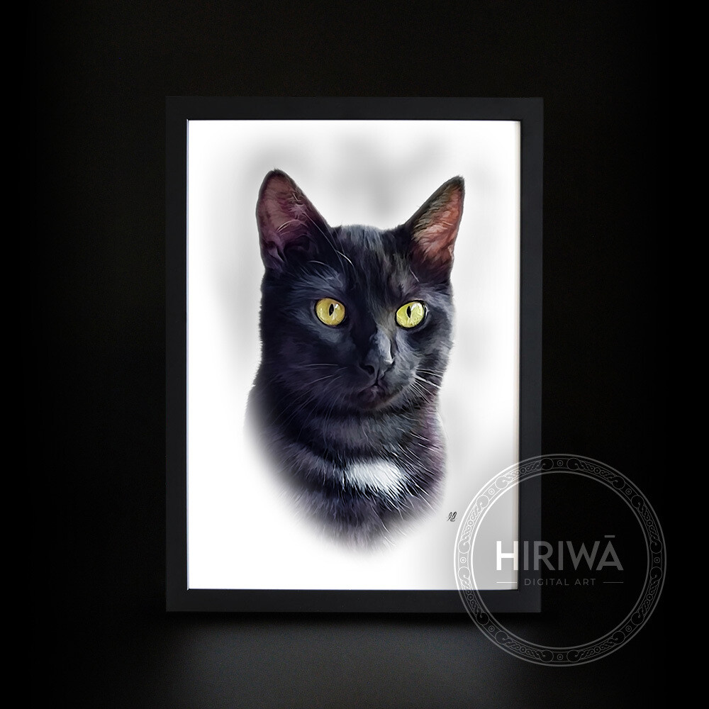 Enquiry - Pet Portrait