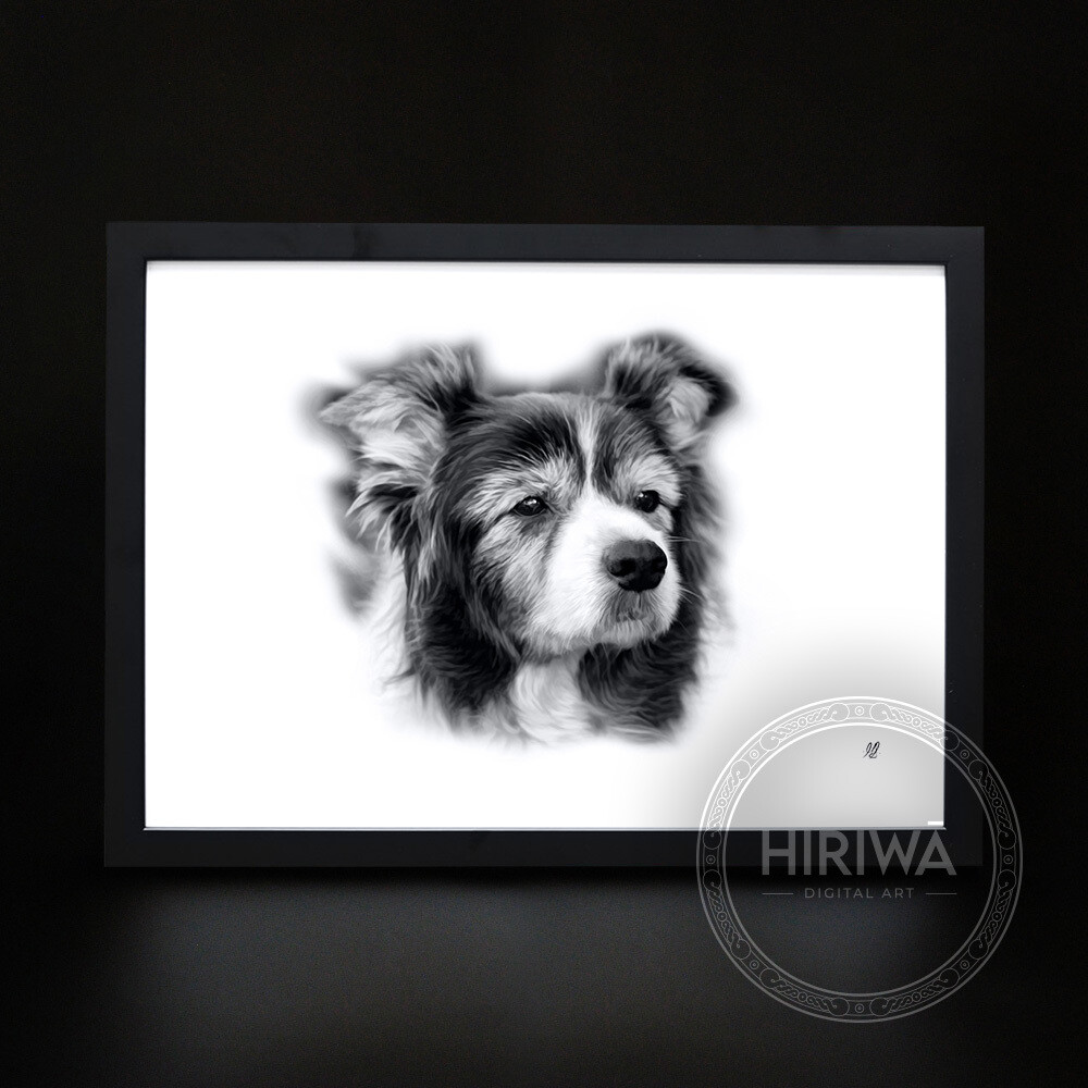 Enquiry - Pet Portrait
