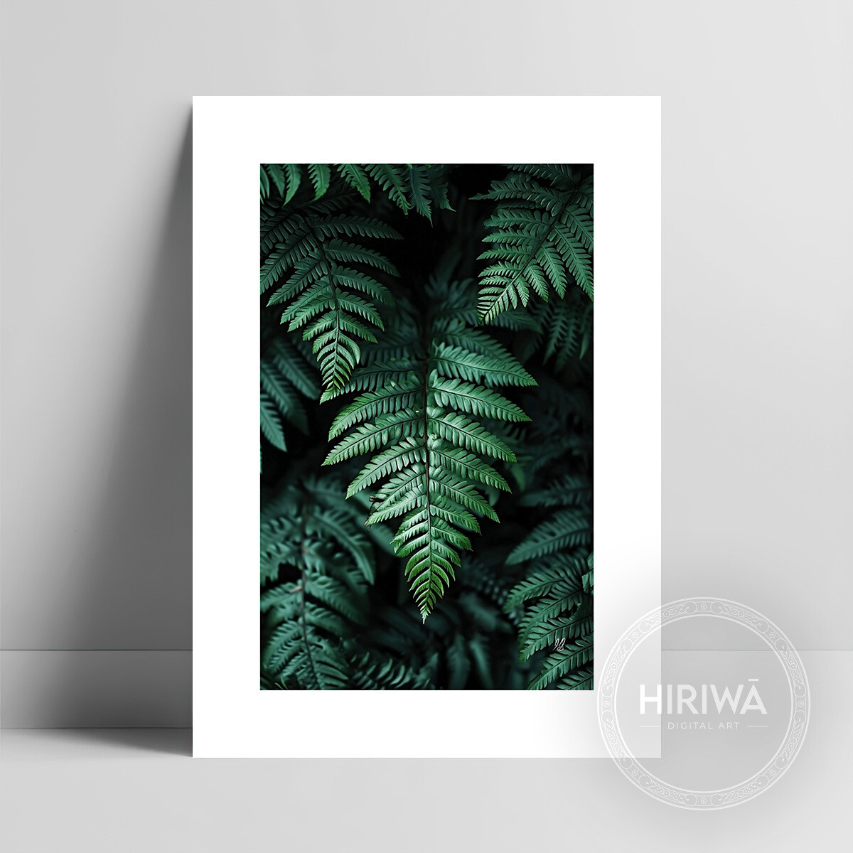 Sanctuary of Ferns fine art print with a white border by Hiriwā Digital Art.