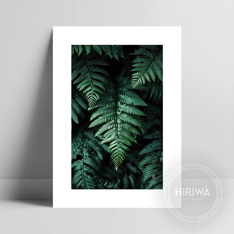 Sanctuary of Ferns fine art print with a white border by Hiriwā Digital Art.