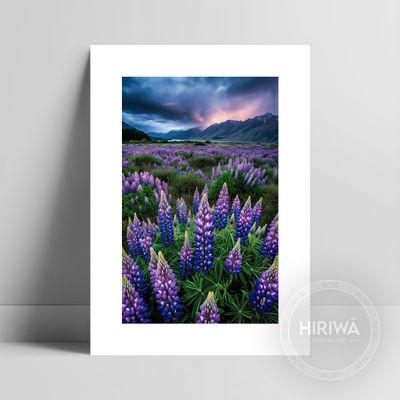 Twilight Lupins fine art print with a white border by Hiriwā Digital Art.