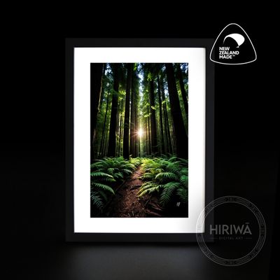 Under the Redwood Giants forest artwork with towering redwood trees and filtered light by Hiriwā Digital Art.