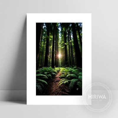 Under the Redwood Giants fine art print with a white border by Hiriwā Digital Art.
