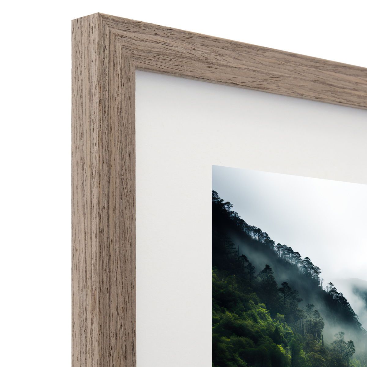 Frame Only — A4