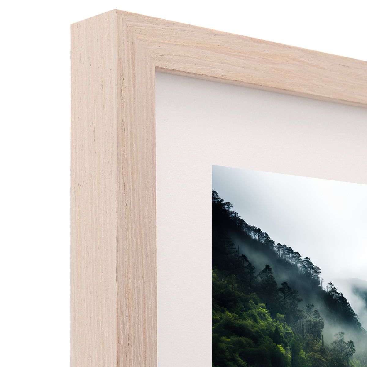 Frame Only — A1