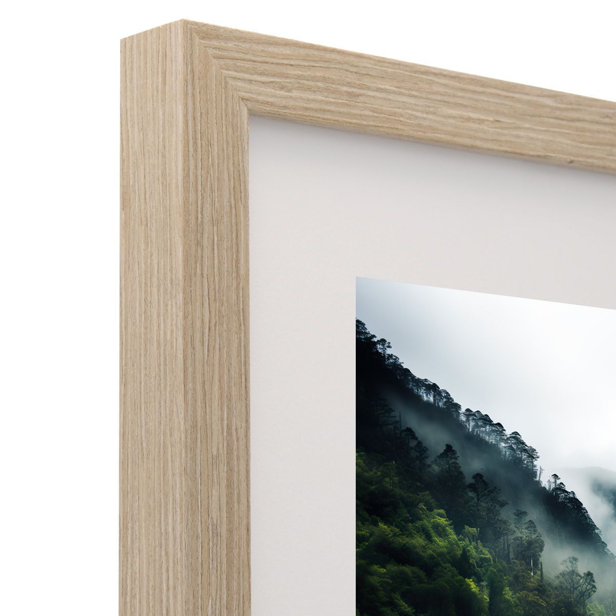 Frame Only — A1
