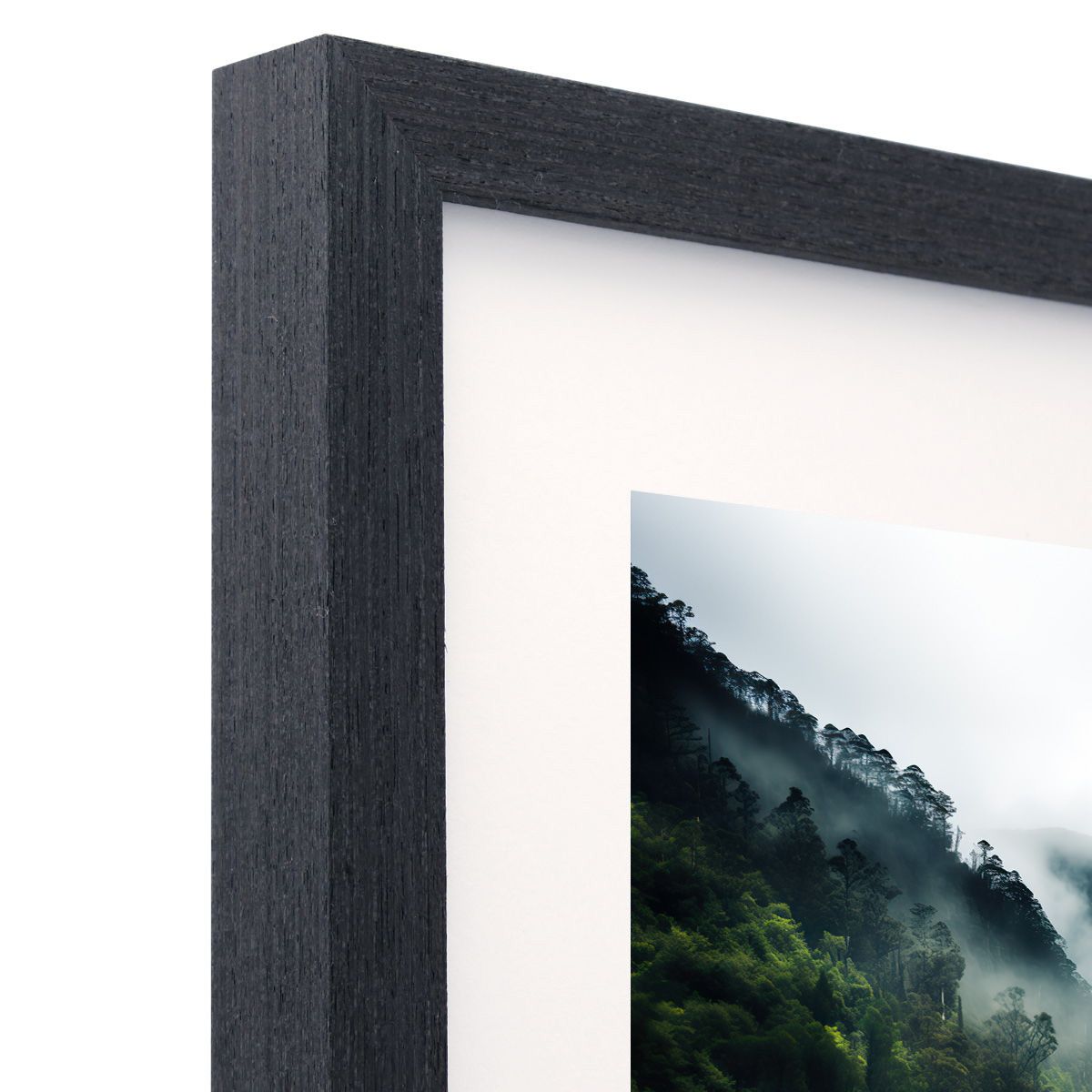Frame Only — A1