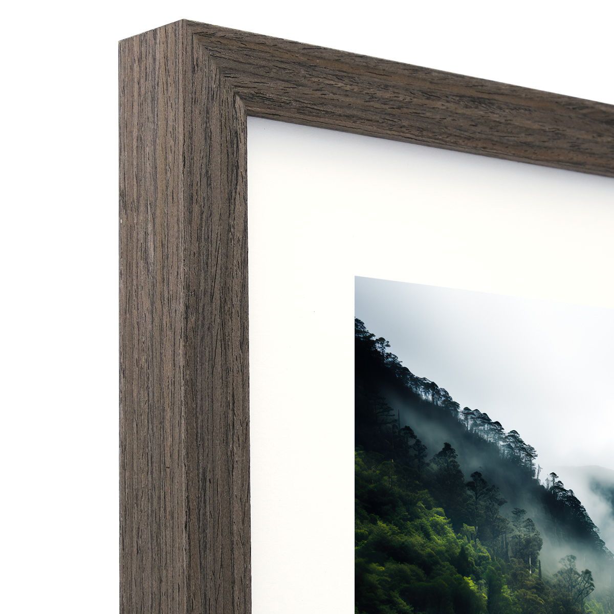 Frame Only — A1