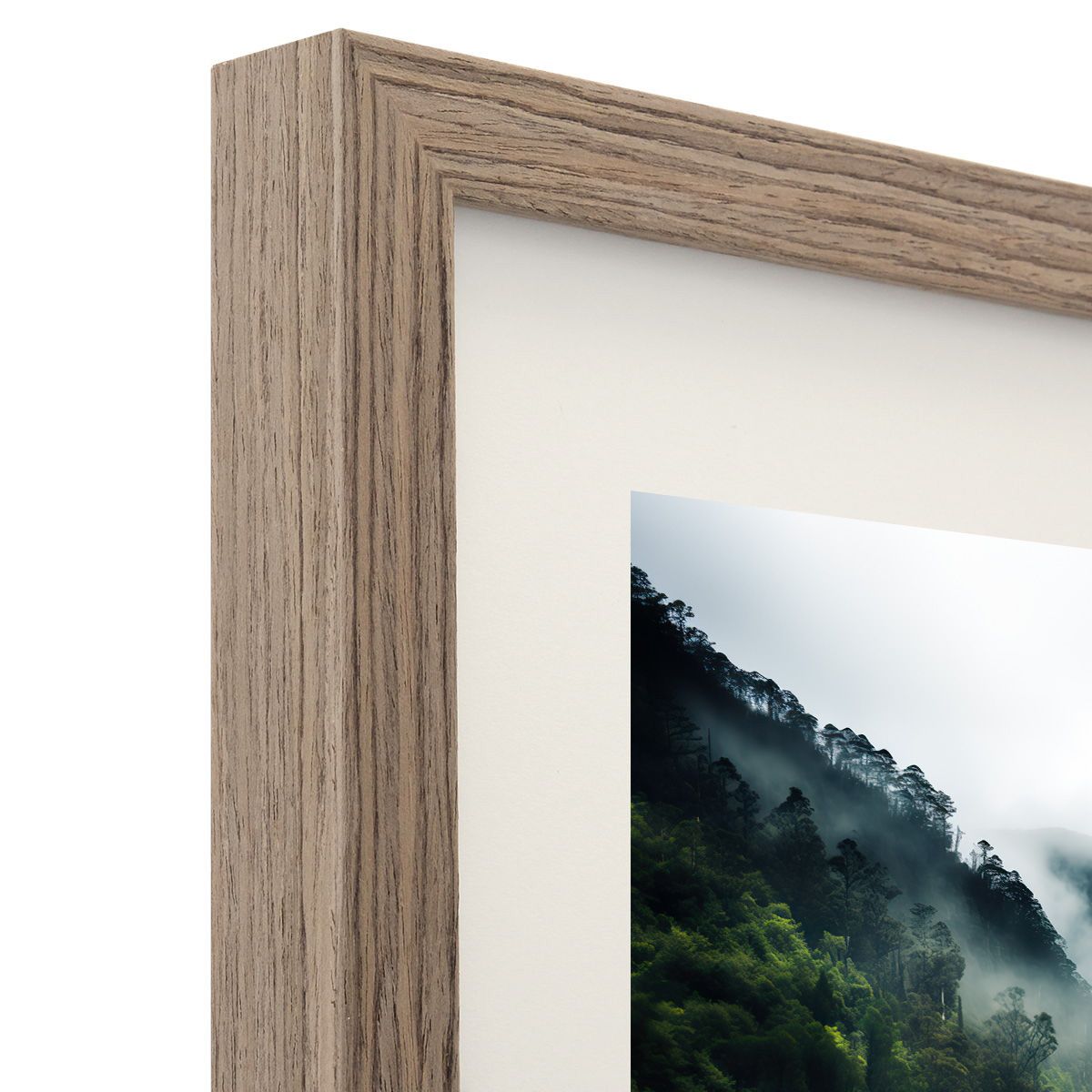 Frame Only — A1