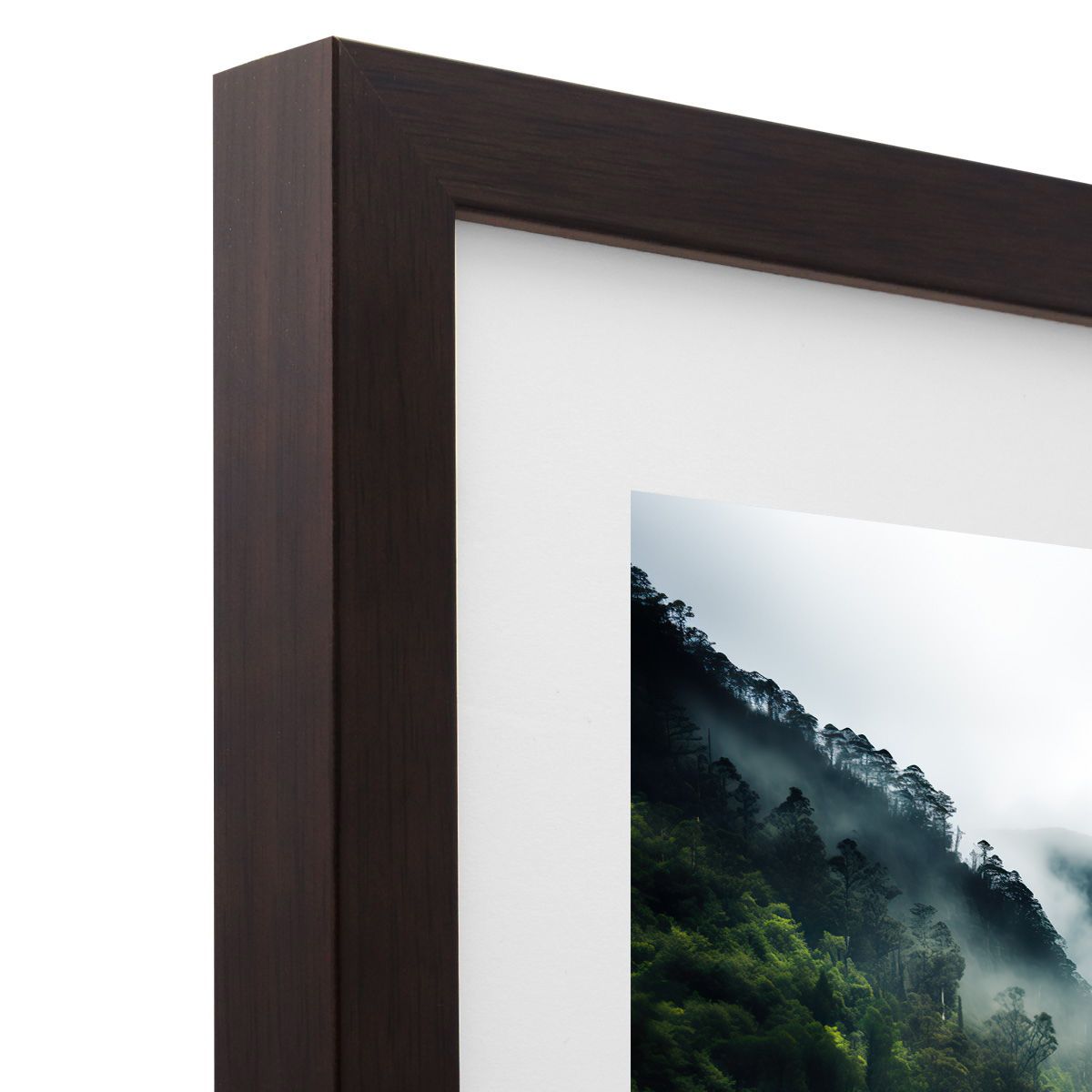 Frame Only — A1