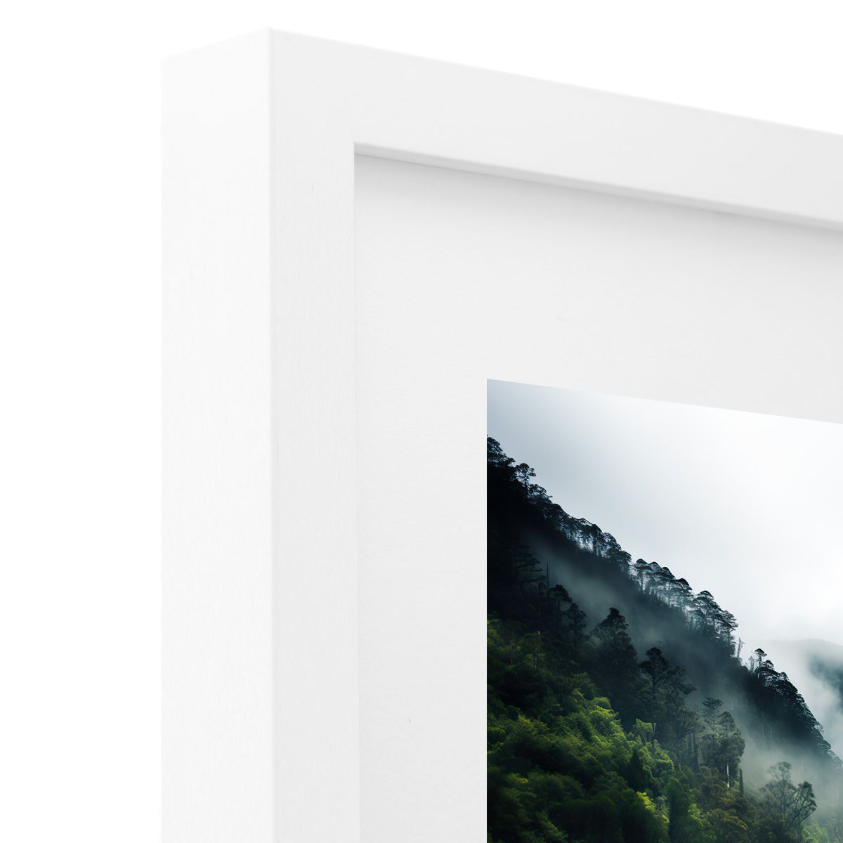 Frame Only — A1