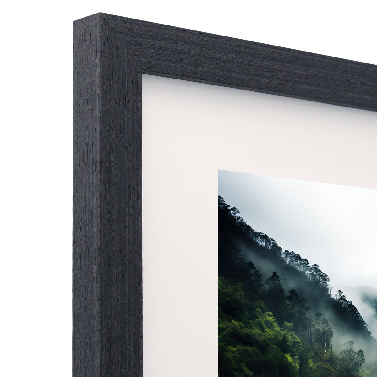 Frame Only — A2