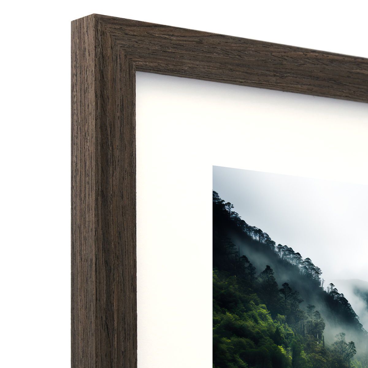 Frame Only — A2