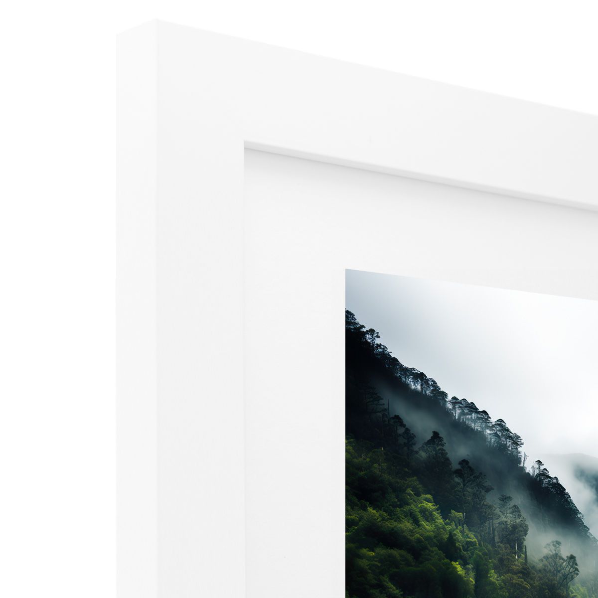 Frame Only — A0