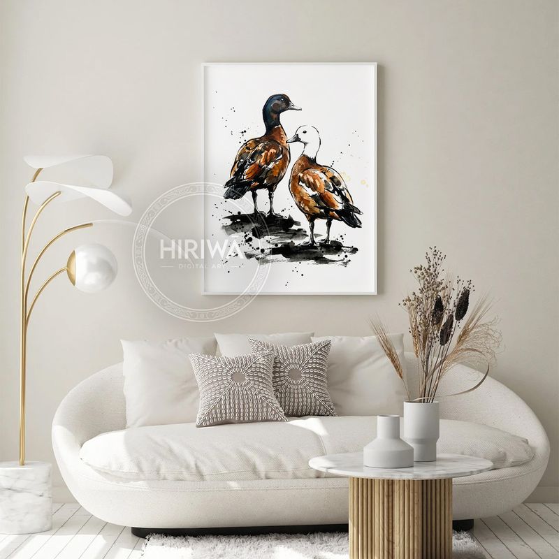 Pūtangitangi | Paradise Duck (Print)