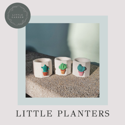 Little Garden Little Planters