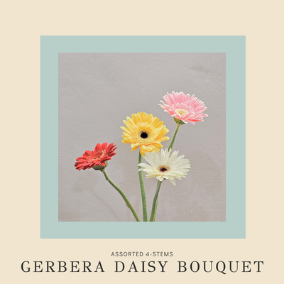 Gerbera Daisy Bouquet