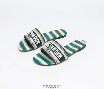 Dior slides