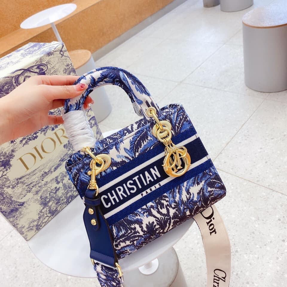 Dior Mini
