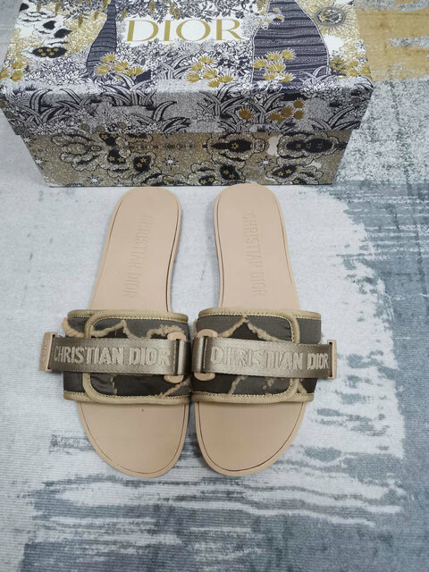 Dior slides 2021