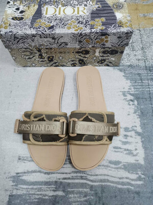 Dior slides 2021